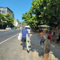 19d94fc7380.8ef600dc2656ccbe Small.png