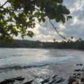 19d94fc7453.8798bdb9ad5f0882 Small.png