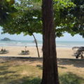 19d94fc7618.972a3a82b8d834b9 Small.png