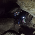 190304b13ee.82d430ba60380316 Small.png