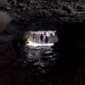 190304b1477.a1b4c48f38f6640a Small.png