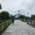190304b1619.901ad6e217154f91 Small.png