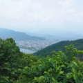 190304b16af.b9414a17ec54213c Small.png