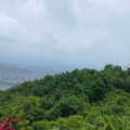 190304b17b0.88665b7e5fce06e8 Small.png