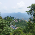 190304b1836.96f6113e5a1d6bcb Small.png