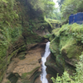 190304b1e56.a906ee5d89d33e82 Small.png