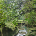 190304b1eb7.9ee1e4b64d881d1c Small.png