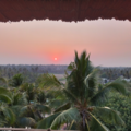 187bbedc951.8d2602f252e829f3 Small.png