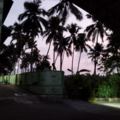 187bbedc9cf.920dfa3c0e2049a6 Small.png